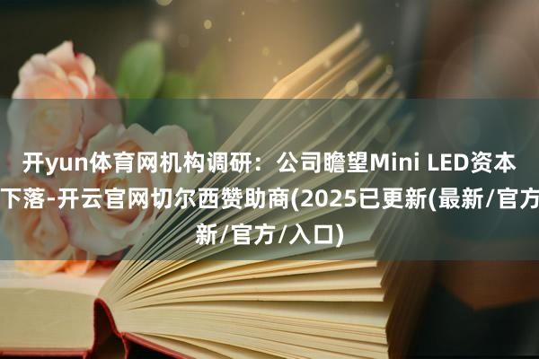 开yun体育网机构调研:公司瞻望Mini LED资本将握续下落-开云官网切尔西赞助商(2025已更新(最新/官方/入口)