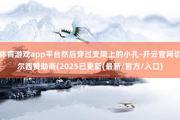 体育游戏app平台然后穿过支架上的小孔-开云官网切尔西赞助商(2025已更新(最新/官方/入口)